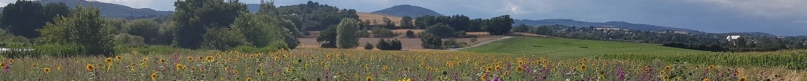 Blick in die Eifel